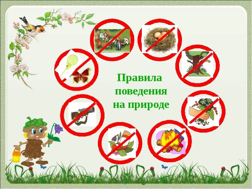 Правила безопасности в лесу.
